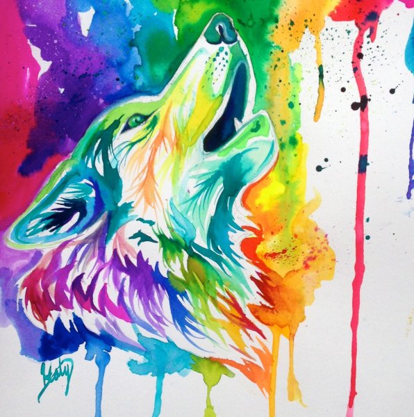 Скетчинг цветы