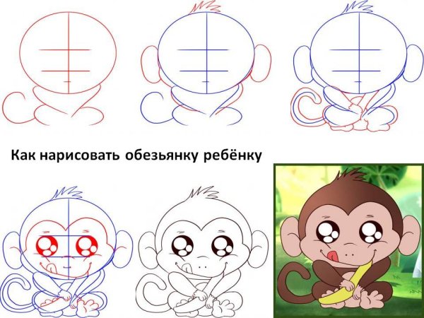 Как нарисовать обезьянку