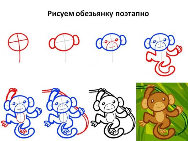 Поэтапное рисование обезьяны
