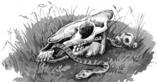 Художник в.м. Васнецов князь Олег