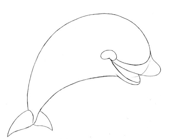 Поэтапное рисование дельфина для детей