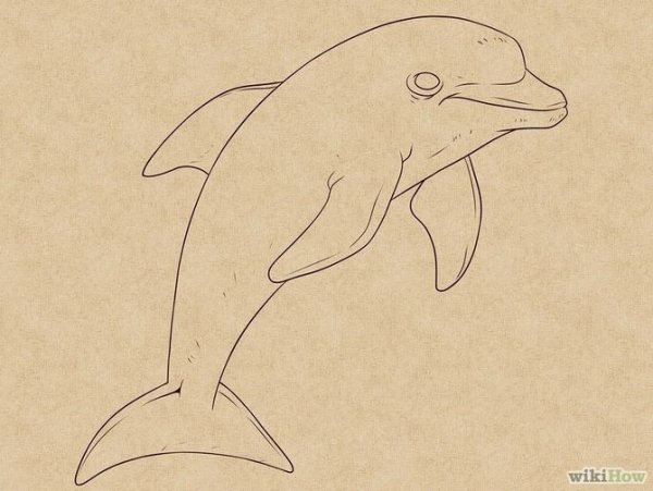 Рисунки для срисовки Дельфин легко