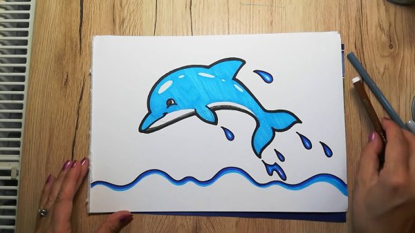 Рисунок дельфина для срисовки