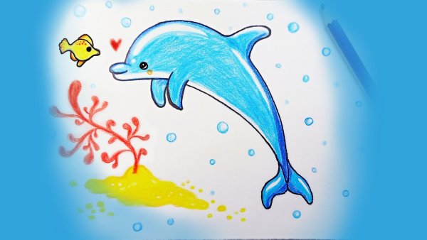 Дельфин рисунок карандашом