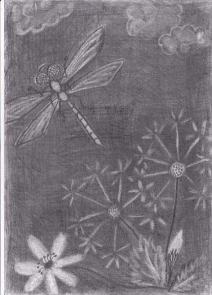 Рисунки карандашом без ластика