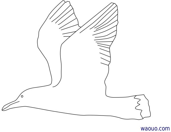 Графическое изображение Чайки