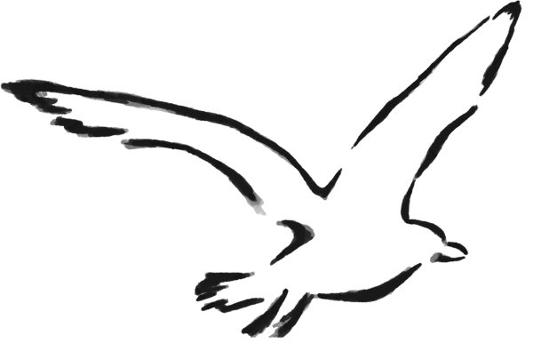 Макет Чайки для рисования