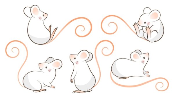 Лёгкие рисунки для срисовки крысы