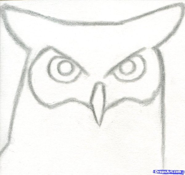 Рисунки для срисовки Совушки
