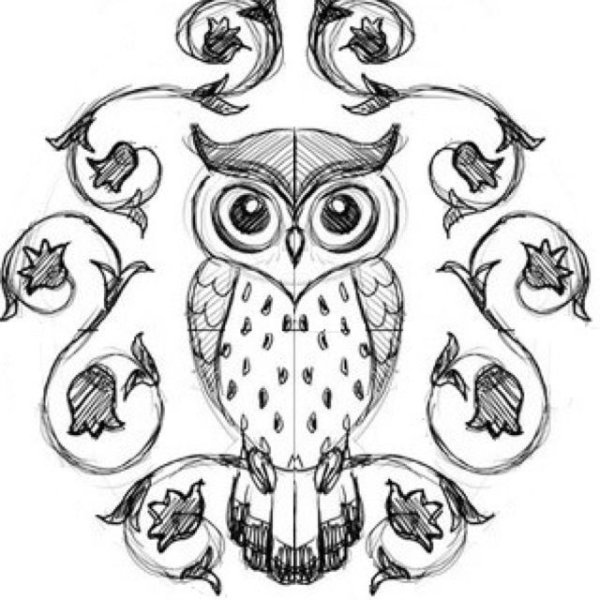 Сова рисунок для срисовки