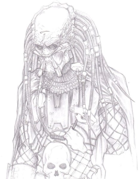 AVP Elder Predator рисунок