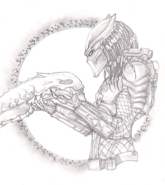 Чужой рисунок