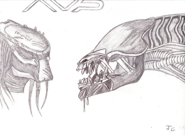 Поэтапное рисование хищника