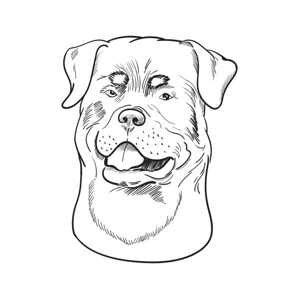 Ротвейлер контур