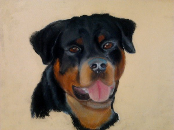 Стилизованная морда собаки