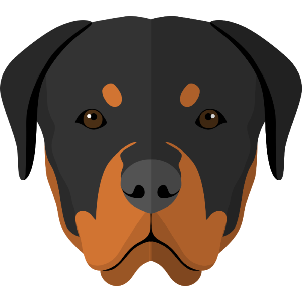 Аниме ротвейлер