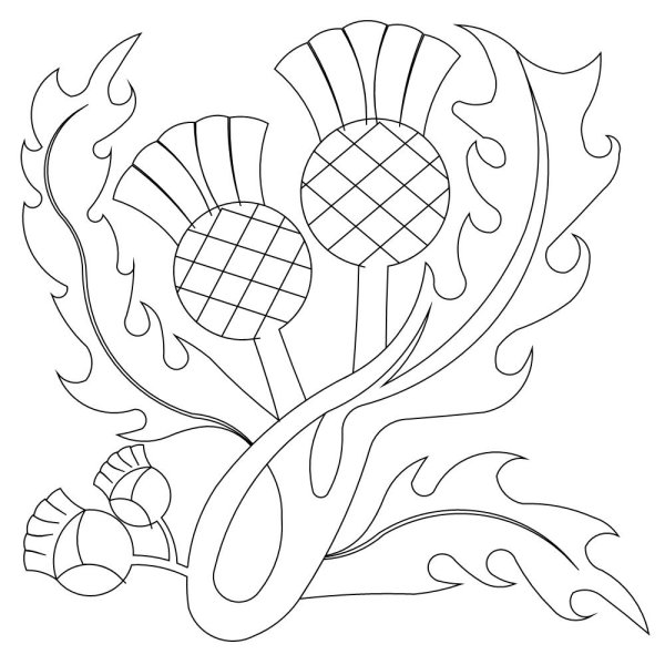 Контур Шотландии