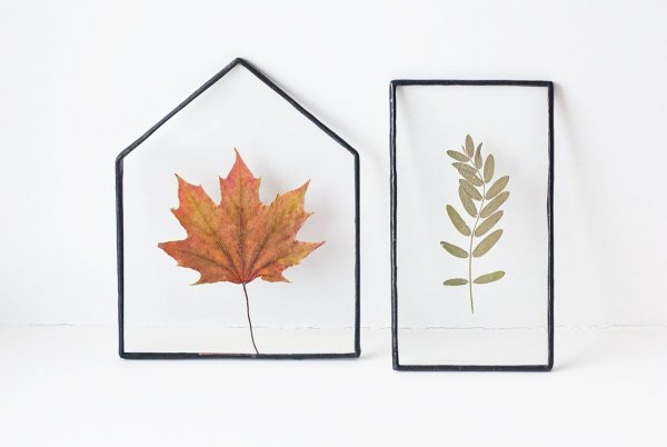 Листочки для гербария