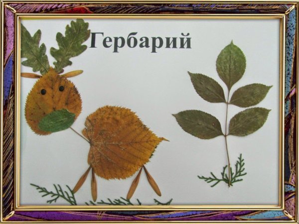 Книжка с гербарием