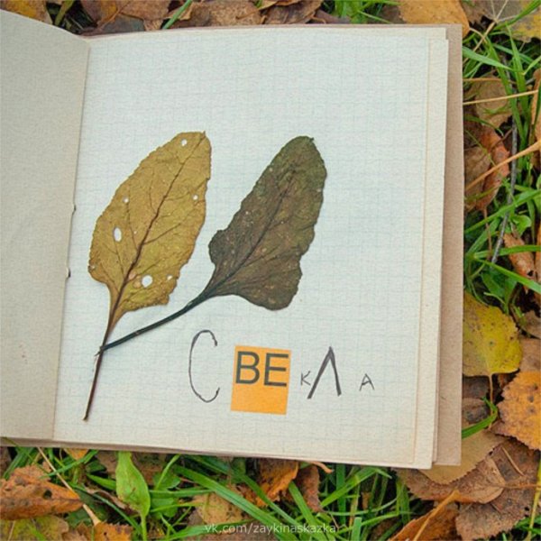 Гербарий Натальи Гончаровой