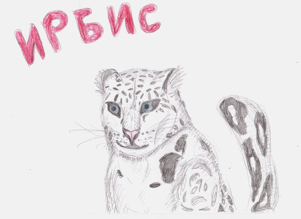 Барс рисунок легкий