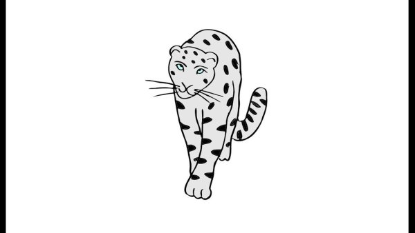 Снежный Барс рисунок для детей