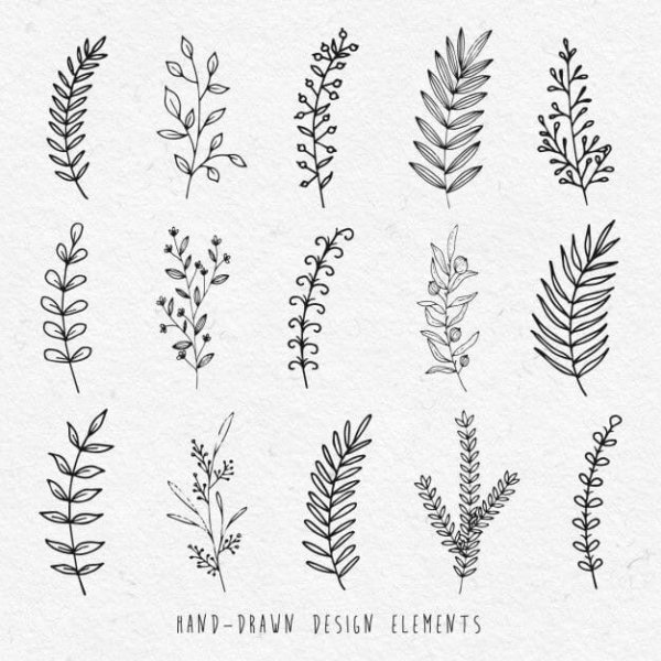 Вереск обыкновенный ветки