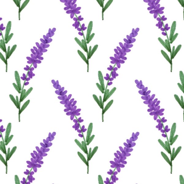 Вереск вектор