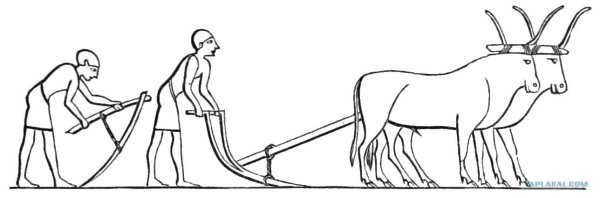 Плуг в древнем Египте