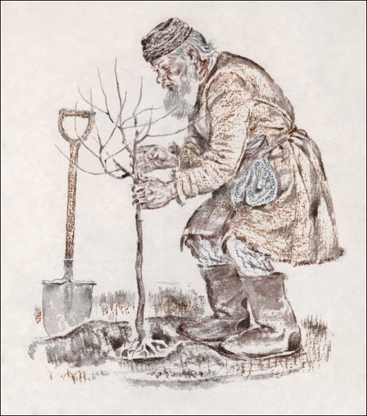 Лев Николаевич толстой рисунок