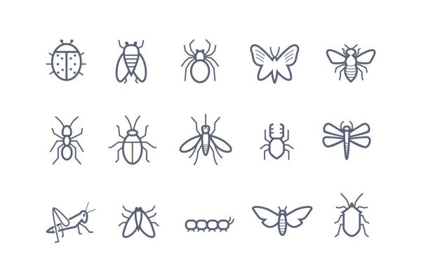 Рисование насекомые