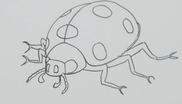 Рисование насекомые