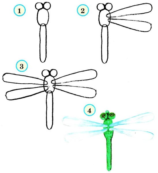 Божья коровка поэтапное рисование для детей