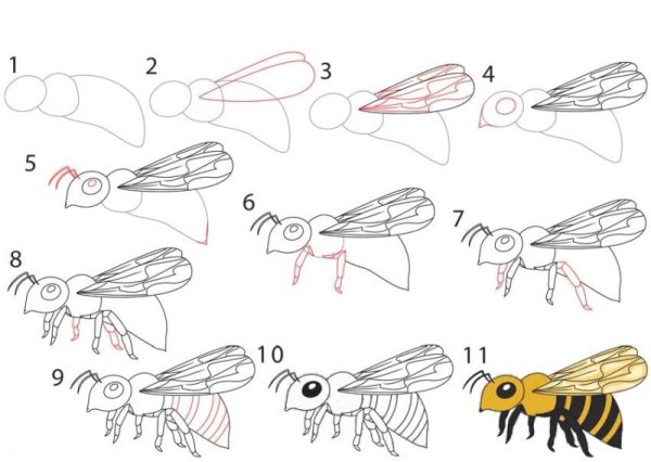 Кузнечик для рисования