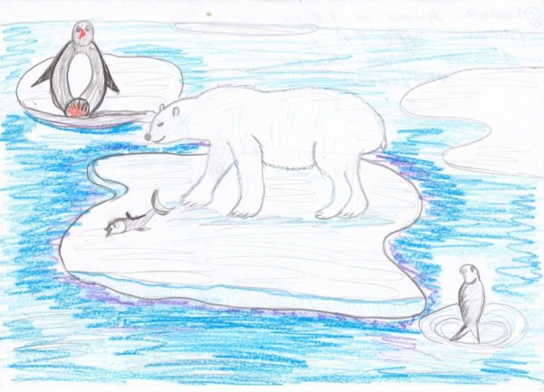 Антарктида рисунок