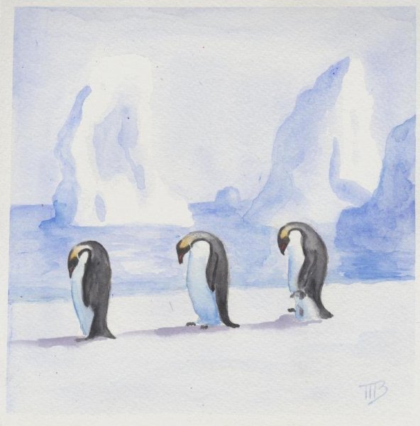 Антарктида карандашом