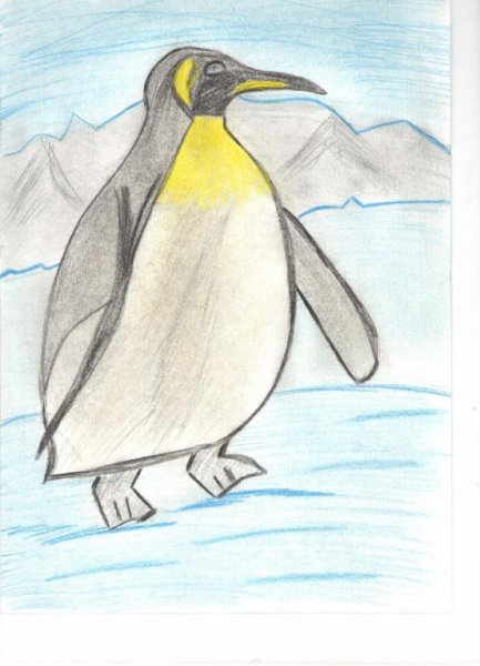 Антарктида карандашом