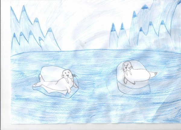 Рисунки на тему Антарктида лёгкие