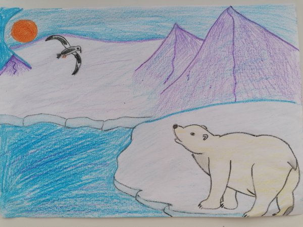 Пингвиненок на льдине