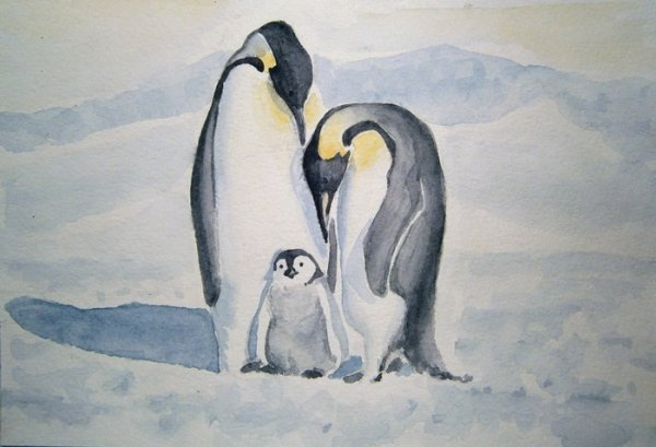 Рисование животные севера