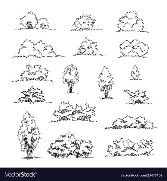 Кусты для рисования