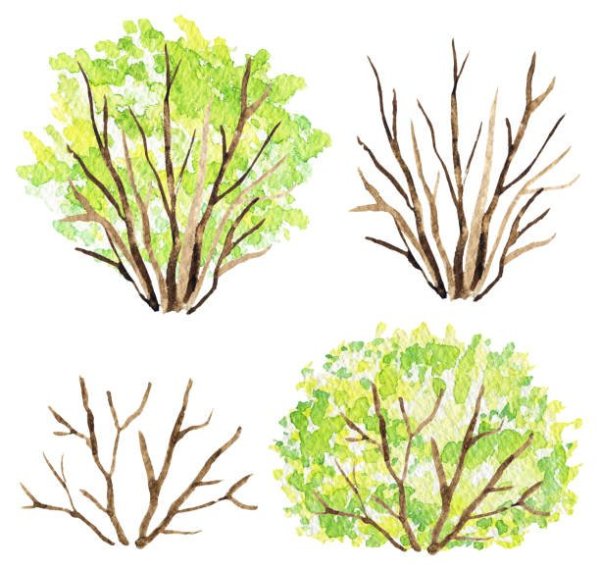 Кусты для рисования