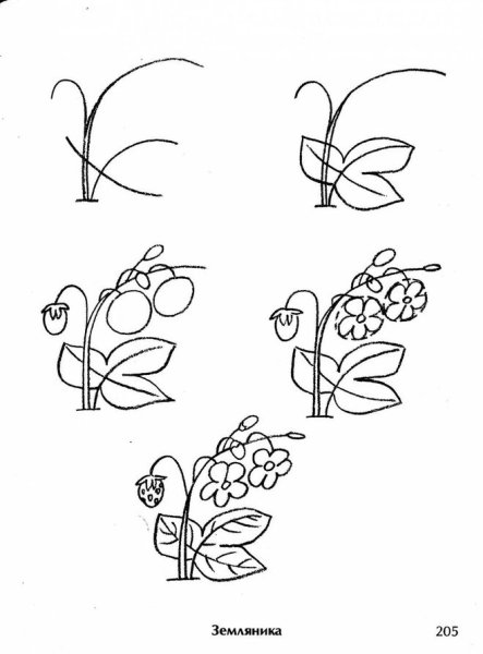 Поэтапное рисование ягод