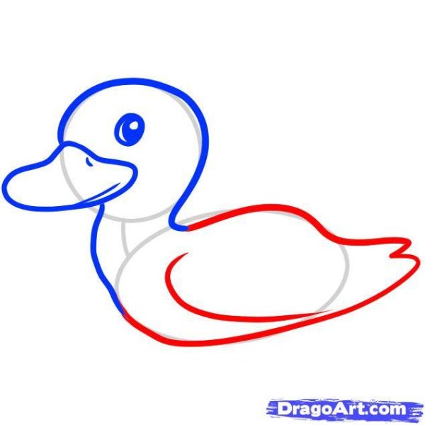 Нарисовать маленькую уточку
