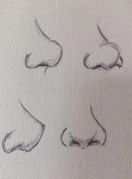 Поэтапно нос снизу