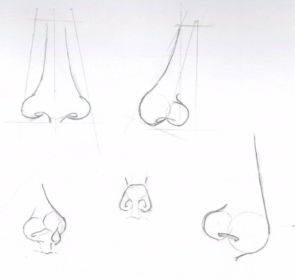 Нос рисунок