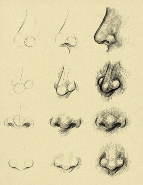 Нос рисунок карандашом для начинающих