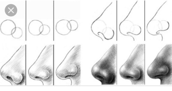 Поэтапное рисование носа