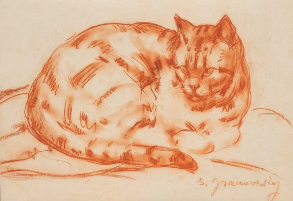 Кот уголь сангина