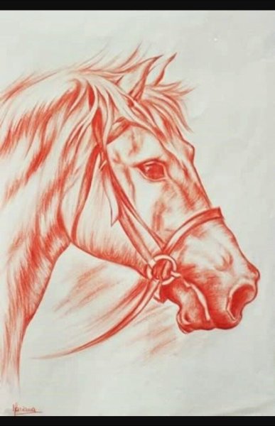 Лошадь сангиной